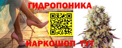 МДПВ Пенза
