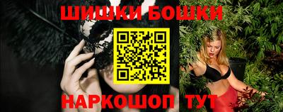 МДПВ Пенза
