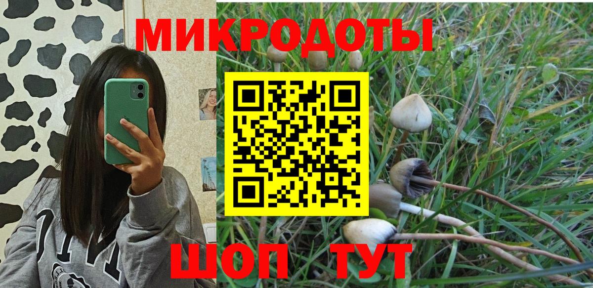 Галлюциногенные грибы GOLDEN TEACHER  Вход с VPN  Галлюциногенные грибы мухоморы  Тулун 